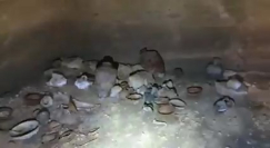 ما الذي تم اكتشافه في أراضي روبين جنوب يافا ؟! 